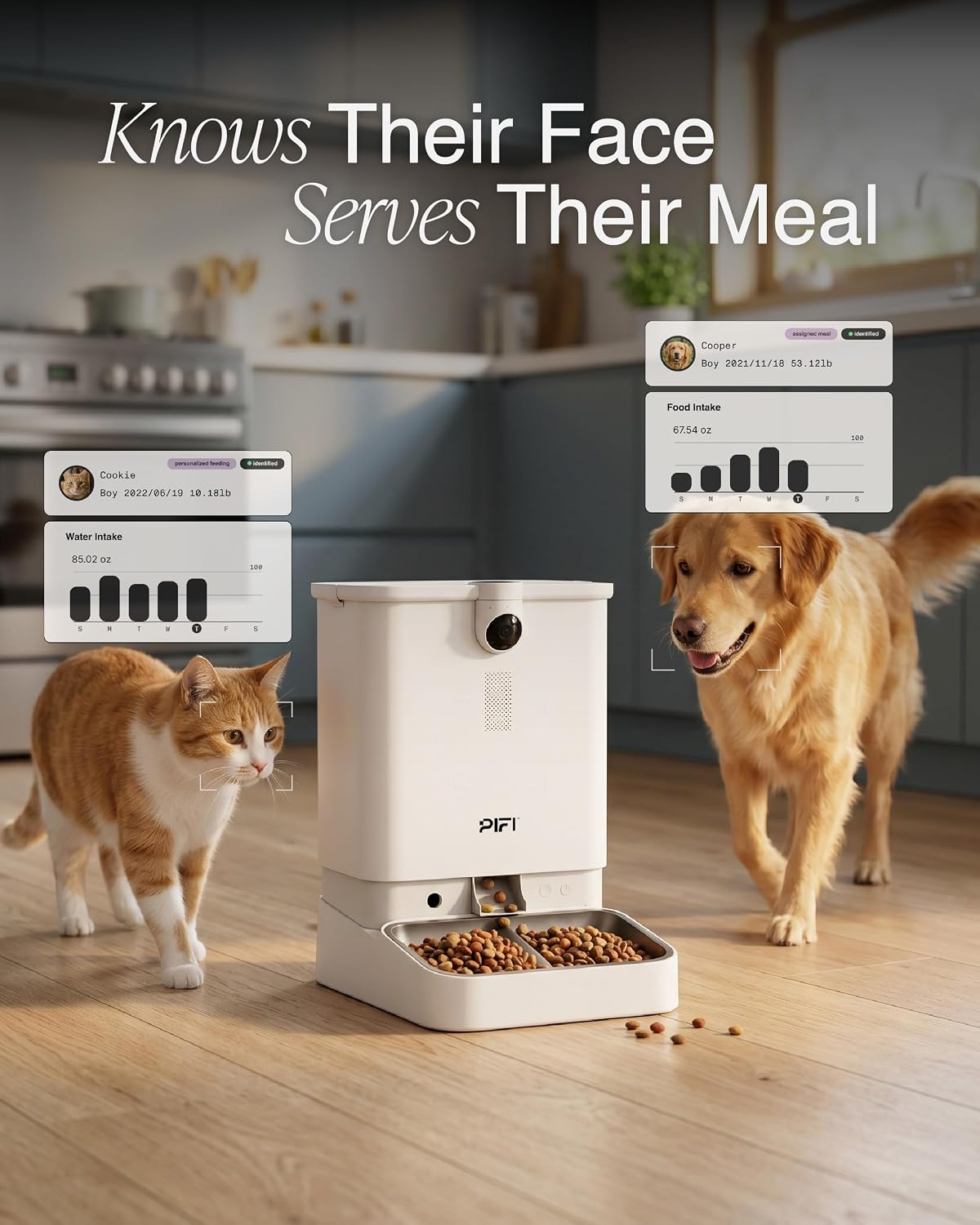 Automatic Pet Feeder with Camera for Multiple Cats and Dogs, 6L Dual Hopper Capacity
