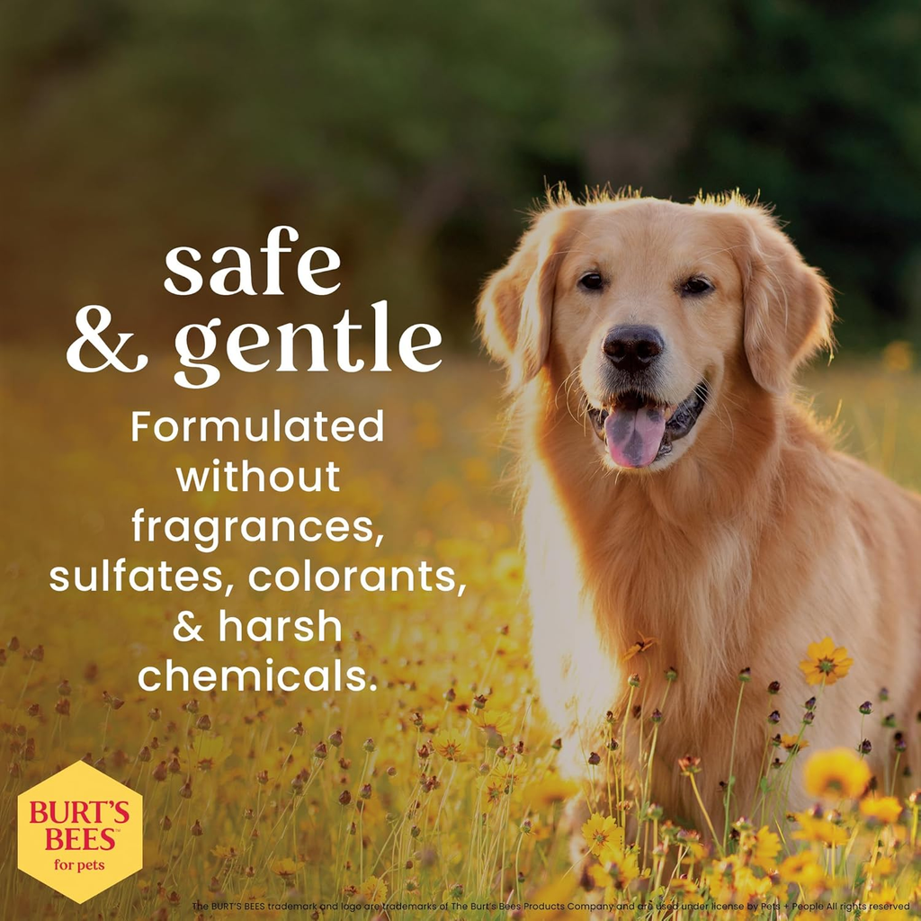 Burt's Bees for Pets Honey Multipurpose Dog Grooming Wipes - 50 Count