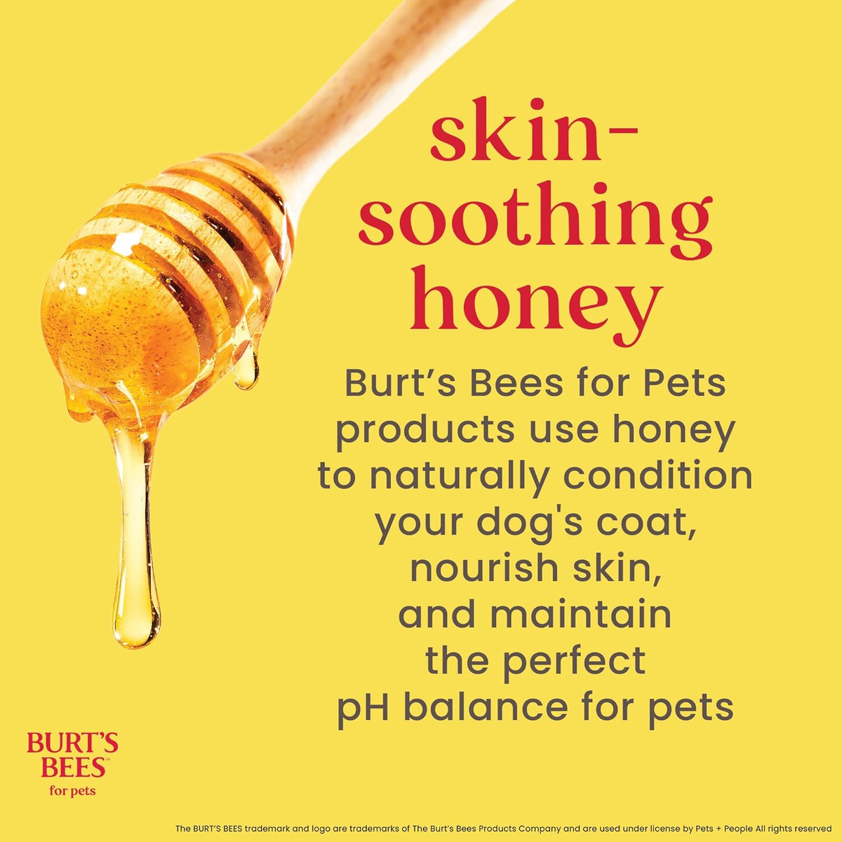 Burt's Bees for Pets Honey Multipurpose Dog Grooming Wipes - 50 Count