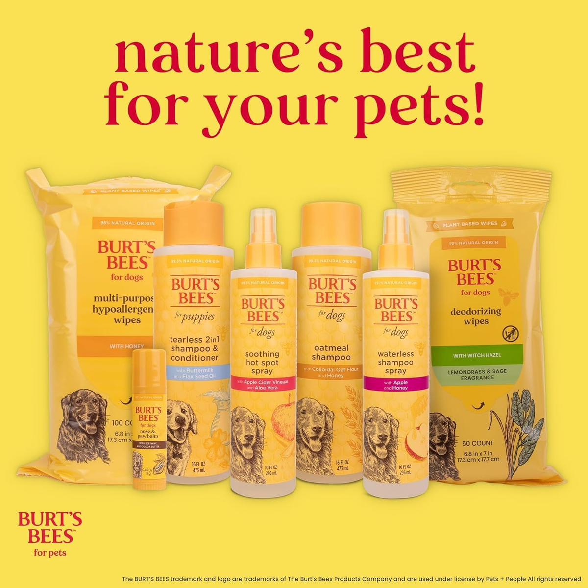 Burt's Bees for Pets Honey Multipurpose Dog Grooming Wipes - 50 Count