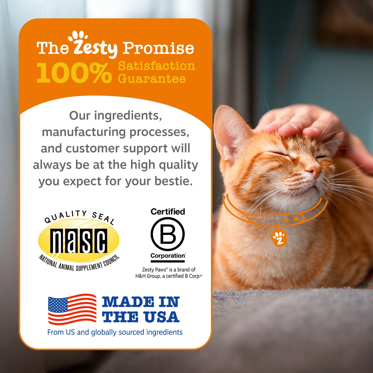 Calming Bites Bacon Flavor for Cats - 30 Count Pouch
