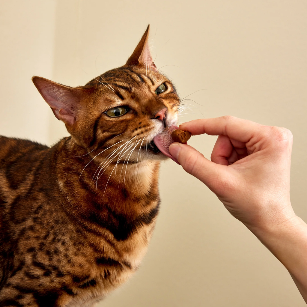 Calming Bites Bacon Flavor for Cats - 30 Count Pouch