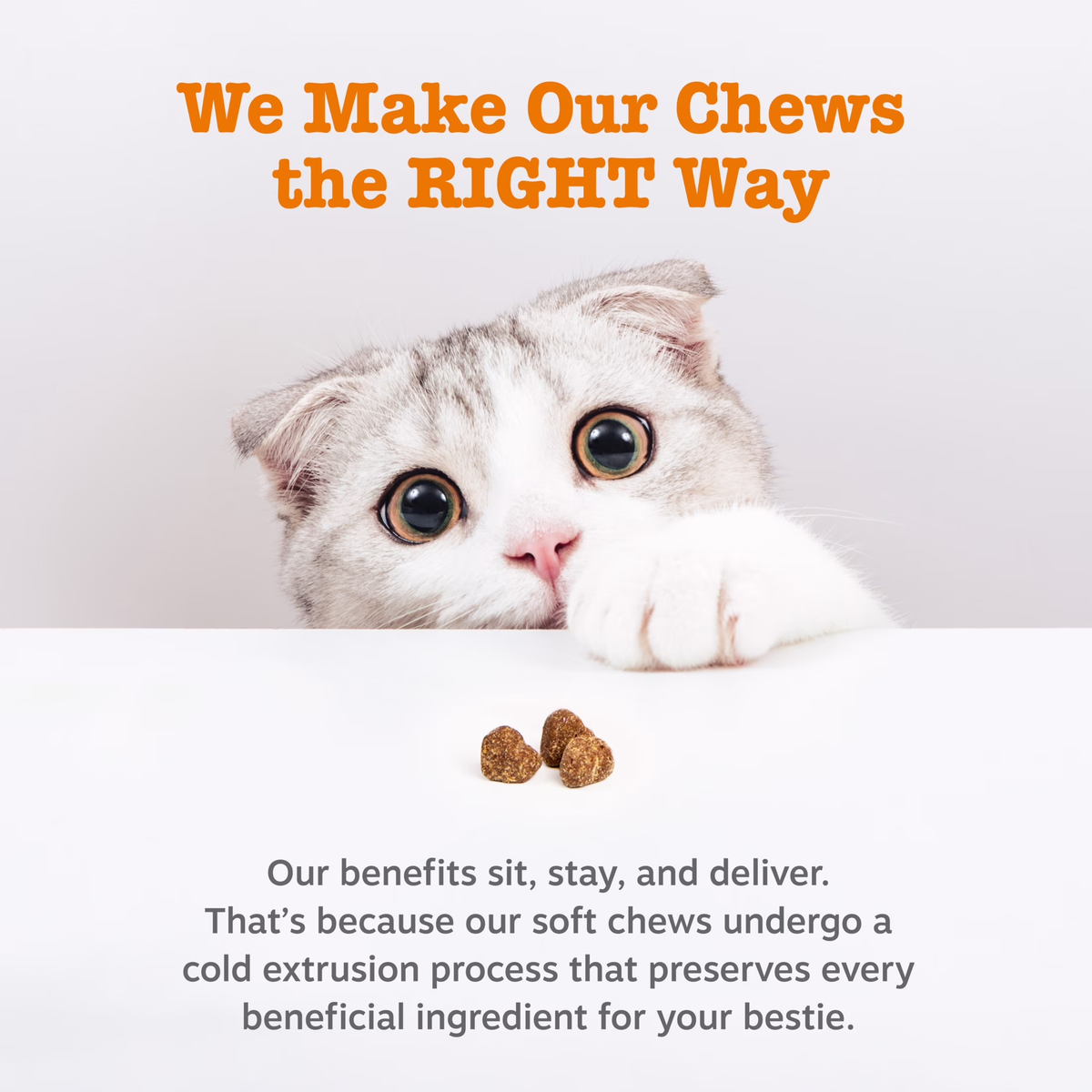 Calming Bites Bacon Flavor for Cats - 30 Count Pouch