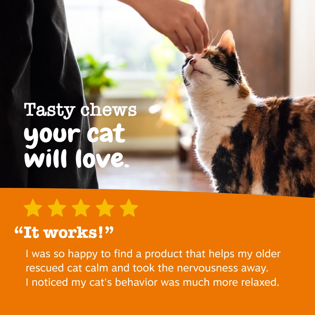 Calming Bites Bacon Flavor for Cats - 30 Count Pouch