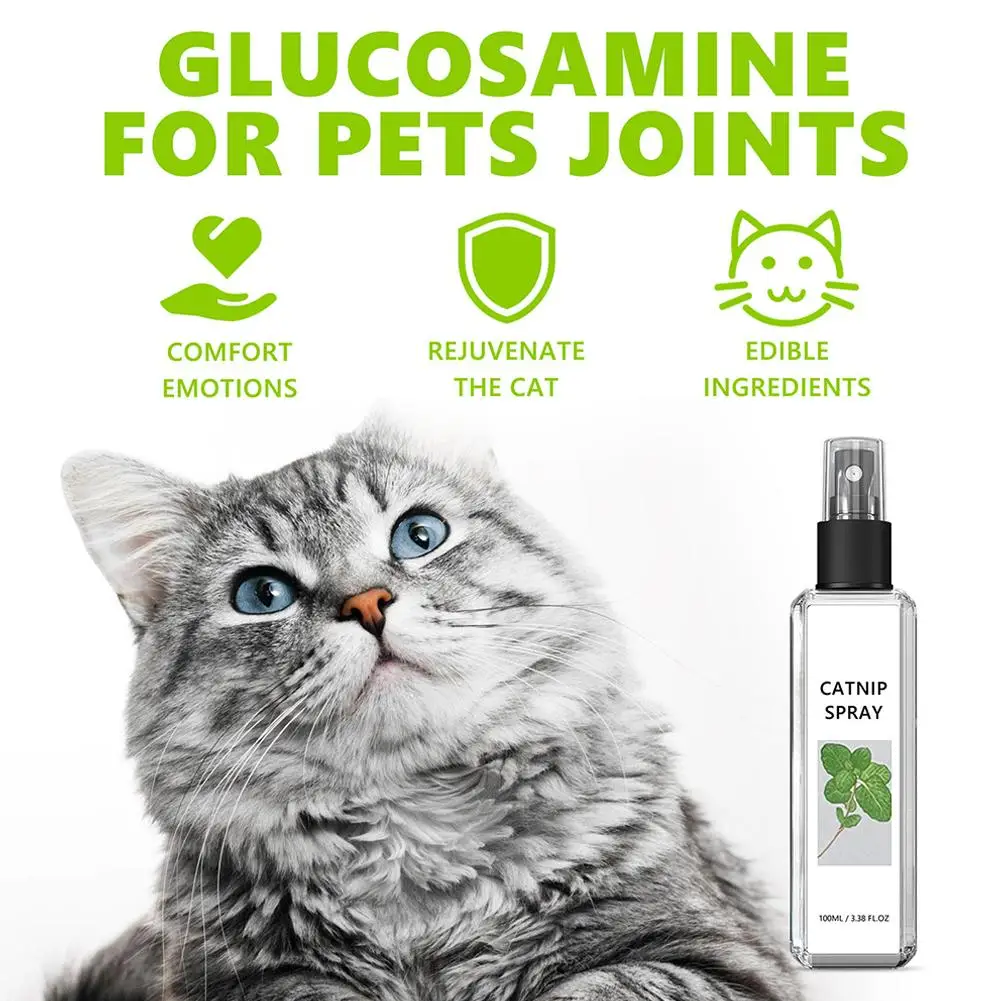 Catnip Spray for Indoor Cats and Kittens - Portable and Practical Excitement Enhancer for Cat Beds, Toys, and Posts