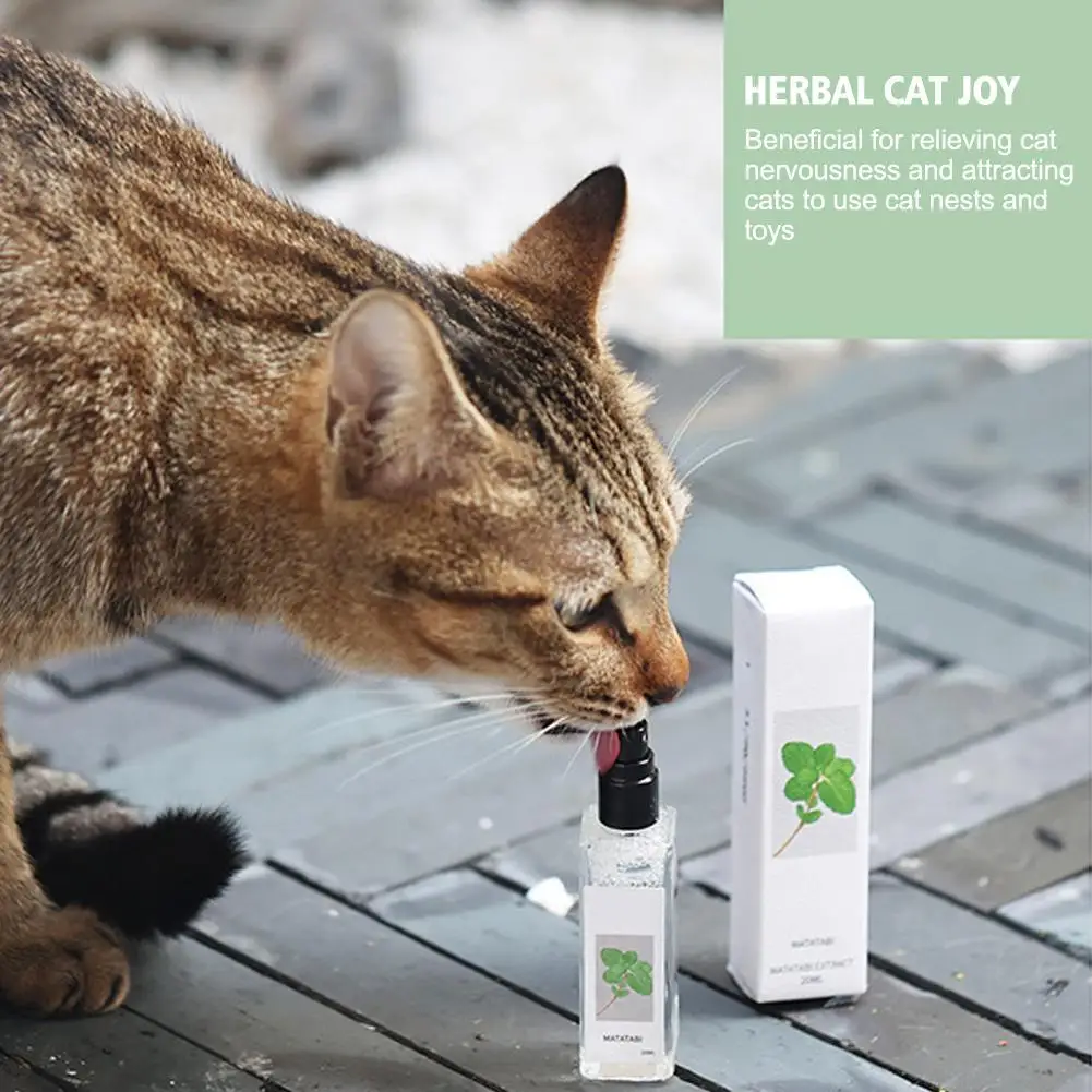Catnip Spray for Indoor Cats and Kittens - Portable and Practical Excitement Enhancer for Cat Beds, Toys, and Posts