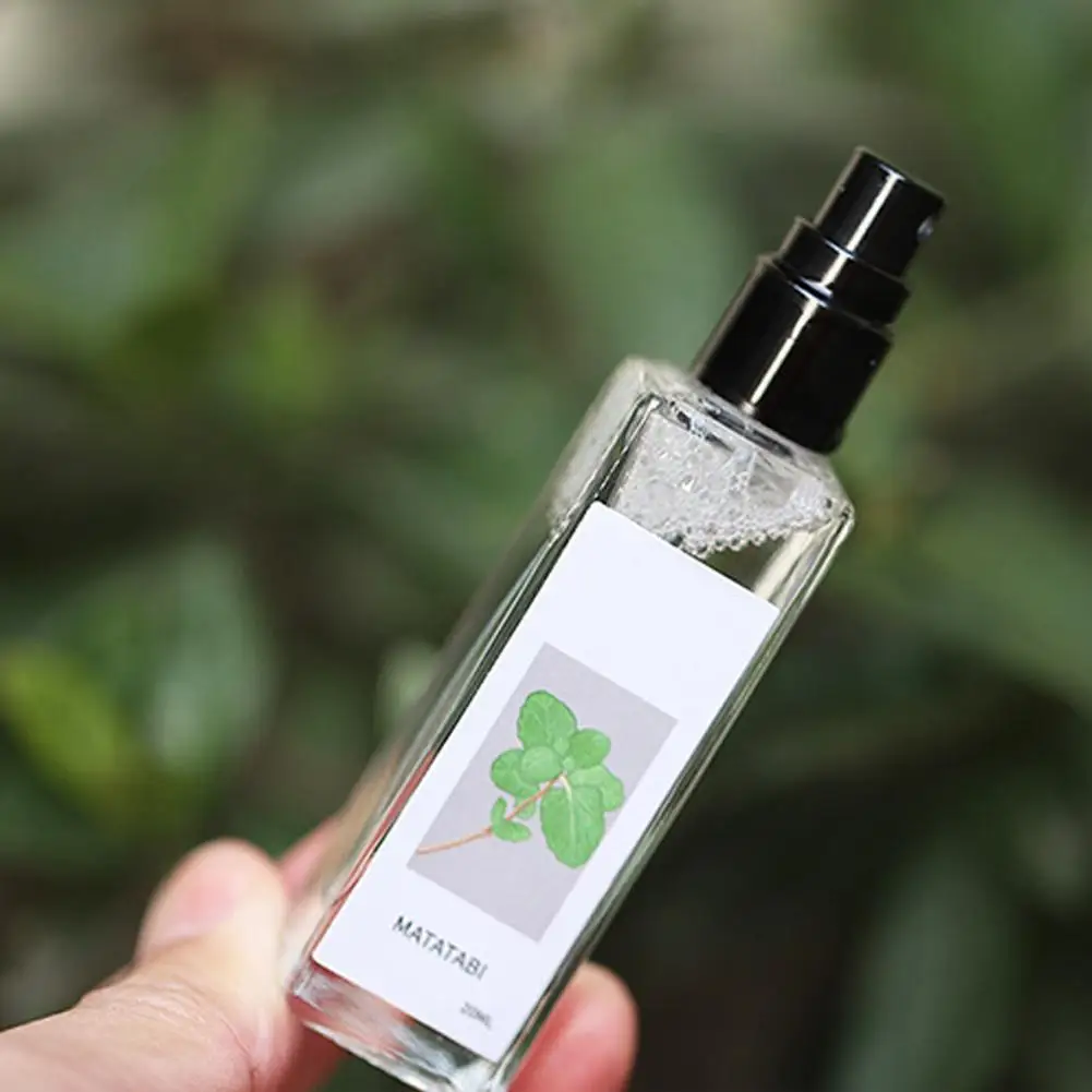 Catnip Spray for Indoor Cats and Kittens - Portable and Practical Excitement Enhancer for Cat Beds, Toys, and Posts