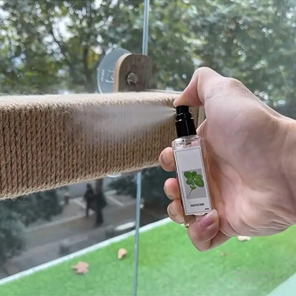 Catnip Spray for Indoor Cats and Kittens - Portable and Practical Excitement Enhancer for Cat Beds, Toys, and Posts
