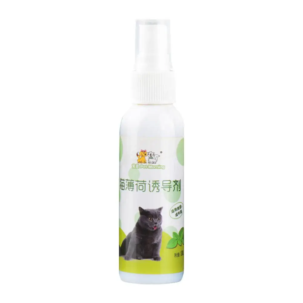 Catnip Spray for Indoor Cats and Kittens - Portable and Practical Excitement Enhancer for Cat Beds, Toys, and Posts