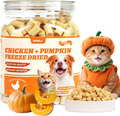 Chicken and Pumpkin Grain-Free Raw Treat for Cats and Dogs - 4.59 oz