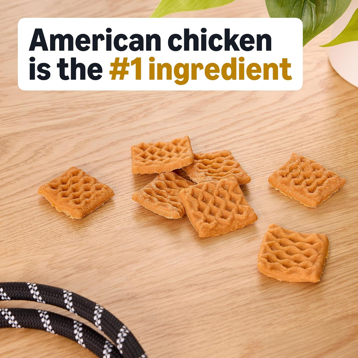 Chicken and Waffle Dog Treats - 24 oz (Formerly Wag)