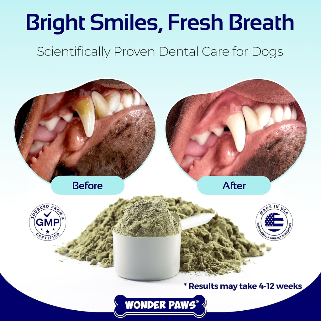 Dental Care Powder for Dogs – Effortless Teeth Cleaning Solution – Effectively Removes Plaque, Tartar, and Stains While Freshening Breath – Suitable for Dogs of All Ages – 60 Scoops