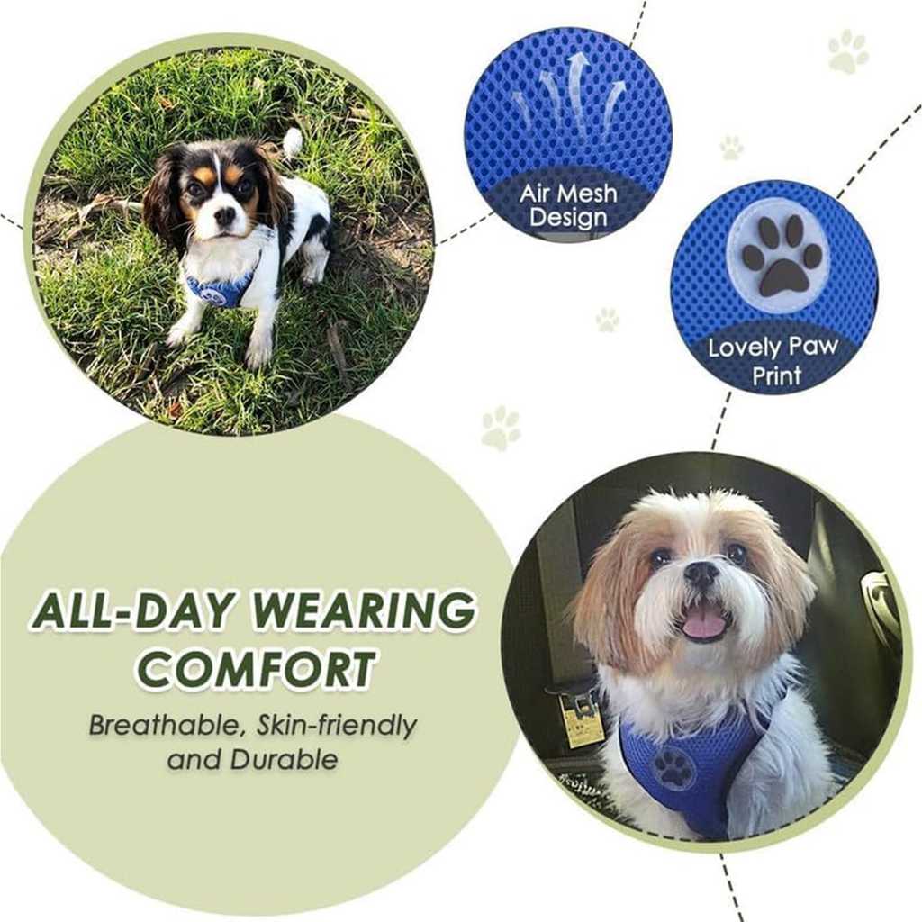 Dog Car Harness and Seat Belt with 2-in-1 Buckle System