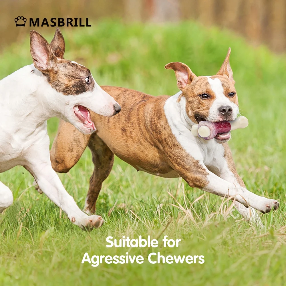 Durable Indestructible Dog Chew Toys for Aggressive Chewers, Non-Toxic Food Grade Nylon Bone Toy for Small, Medium, and Large Breeds