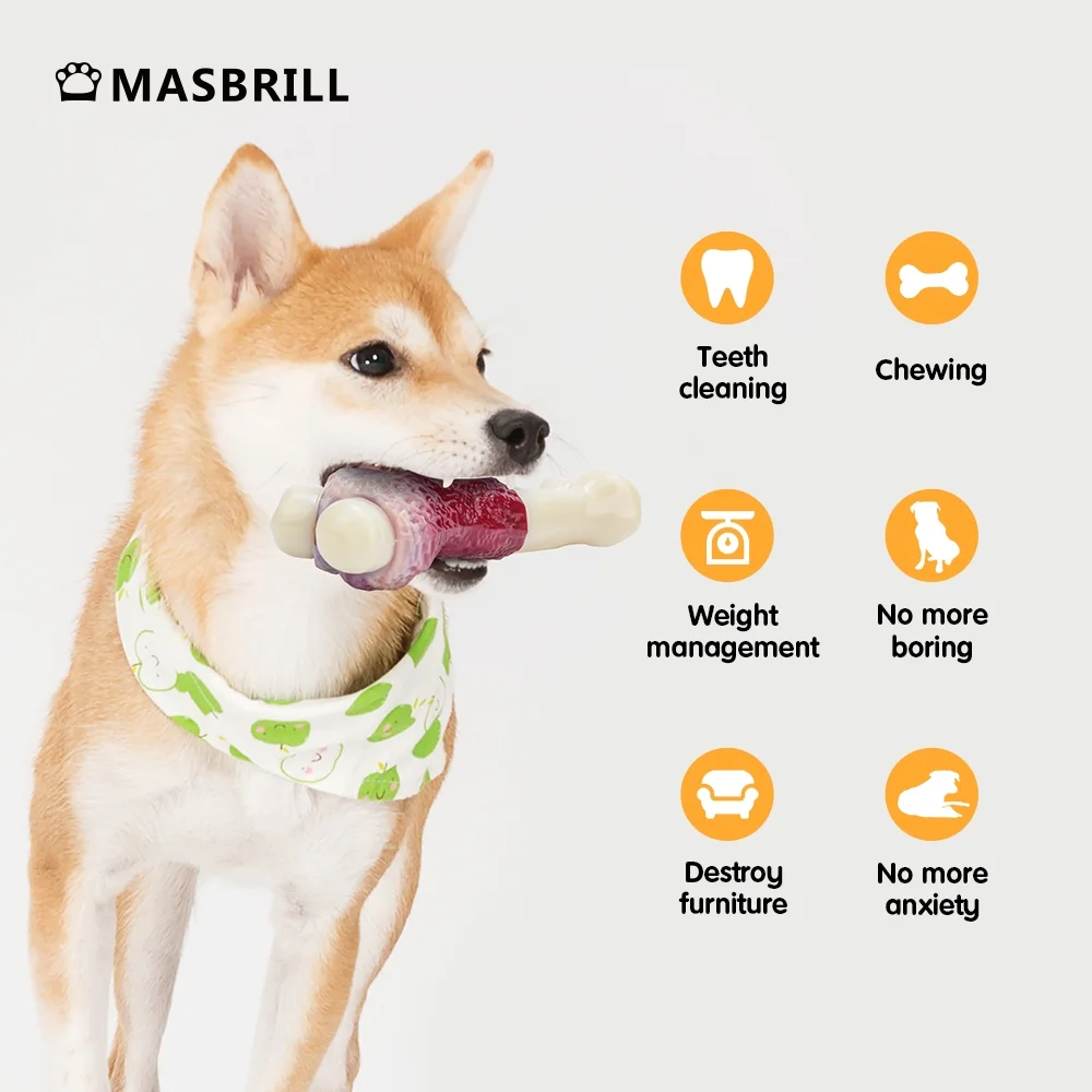 Durable Indestructible Dog Chew Toys for Aggressive Chewers, Non-Toxic Food Grade Nylon Bone Toy for Small, Medium, and Large Breeds