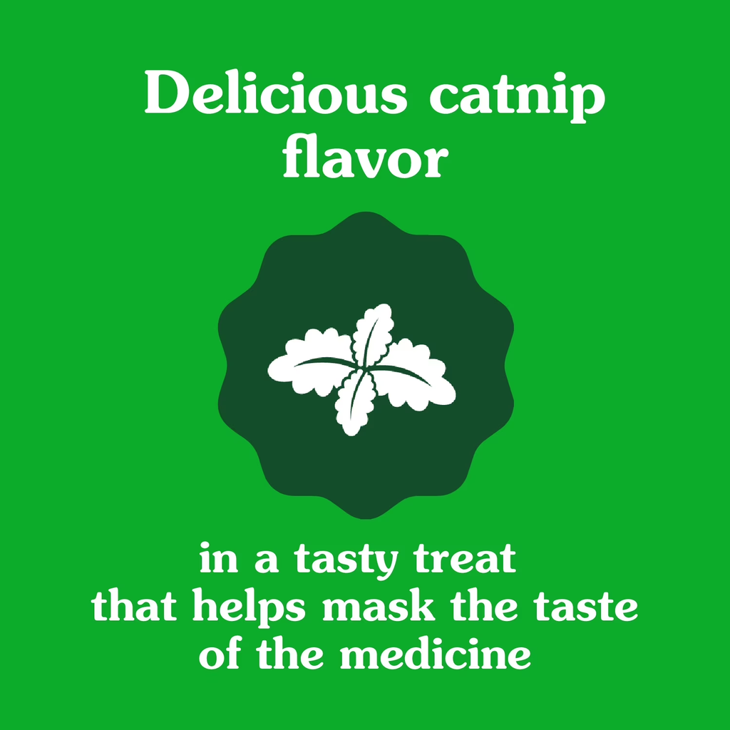 Feline Pill Pockets Natural Cat Treats with Catnip Flavor, 1.6 Oz (45 Treats)