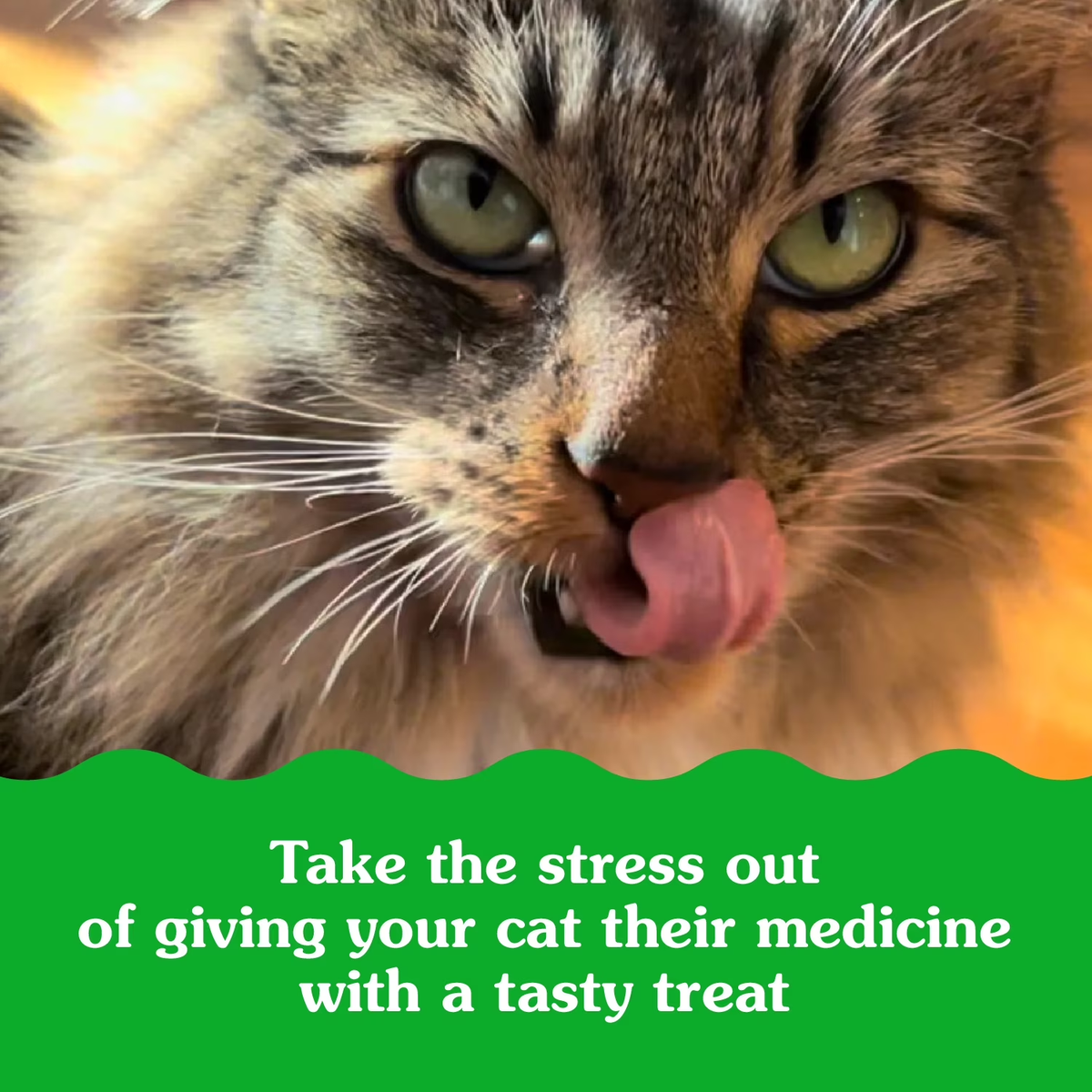 Feline Pill Pockets Natural Cat Treats with Catnip Flavor, 1.6 Oz (45 Treats)
