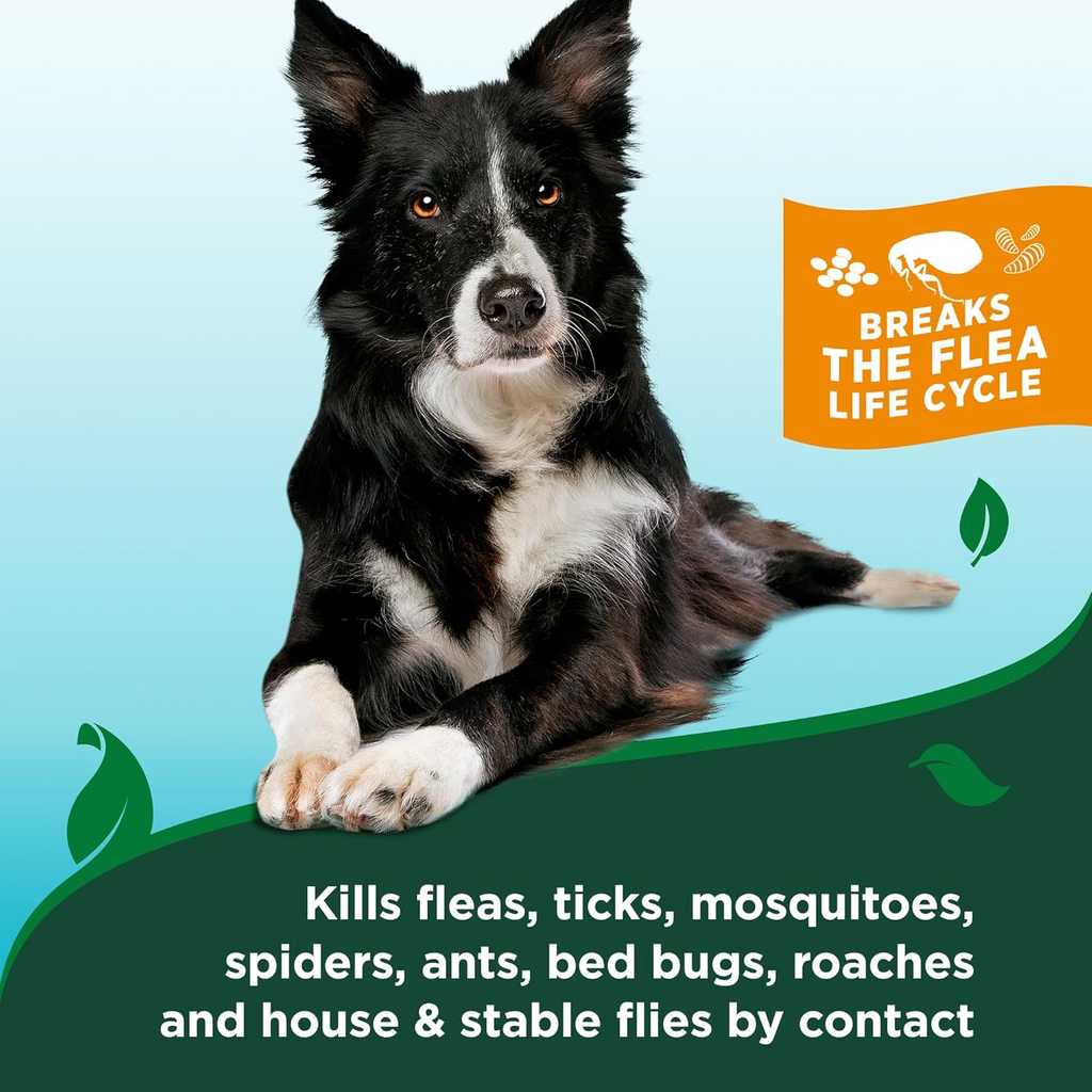 Flea and Tick Spray for Dogs, Cotton Spice Scent, 14 Oz, Effective Flea Elimination