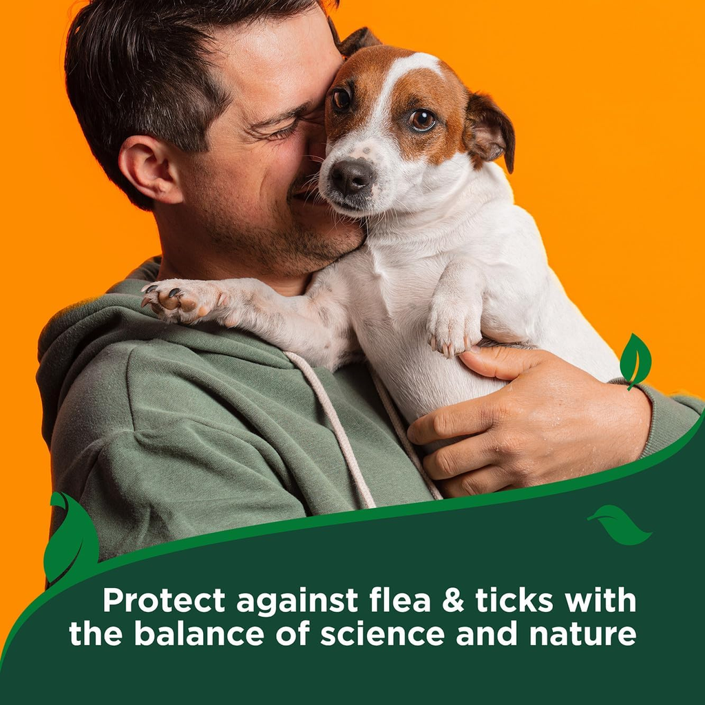 Flea and Tick Spray for Dogs, Cotton Spice Scent, 14 Oz, Effective Flea Elimination