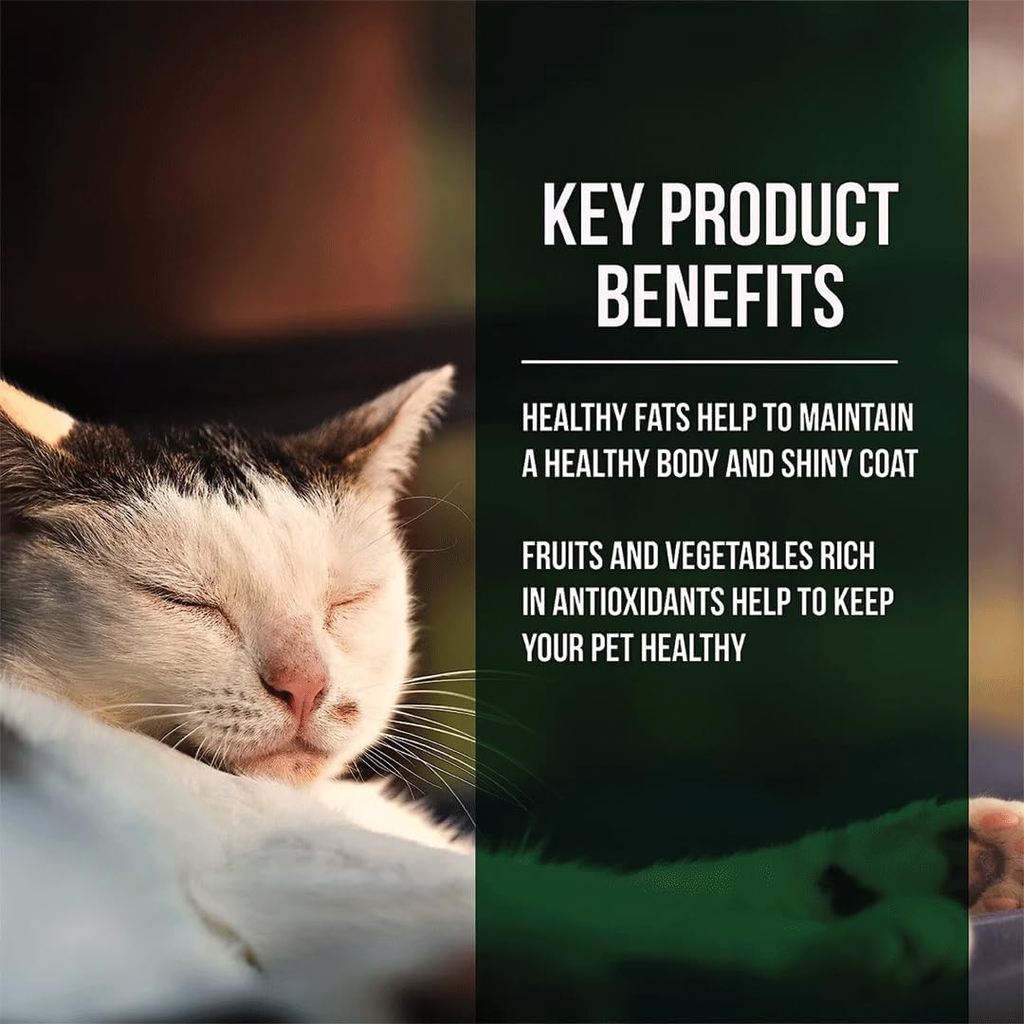 Grain-Free Dry Cat Food with Market Fresh Salmon & Chicken Meal Formula, 10 lb
