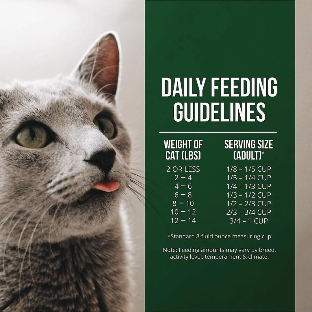 Grain-Free Dry Cat Food with Market Fresh Salmon & Chicken Meal Formula, 10 lb