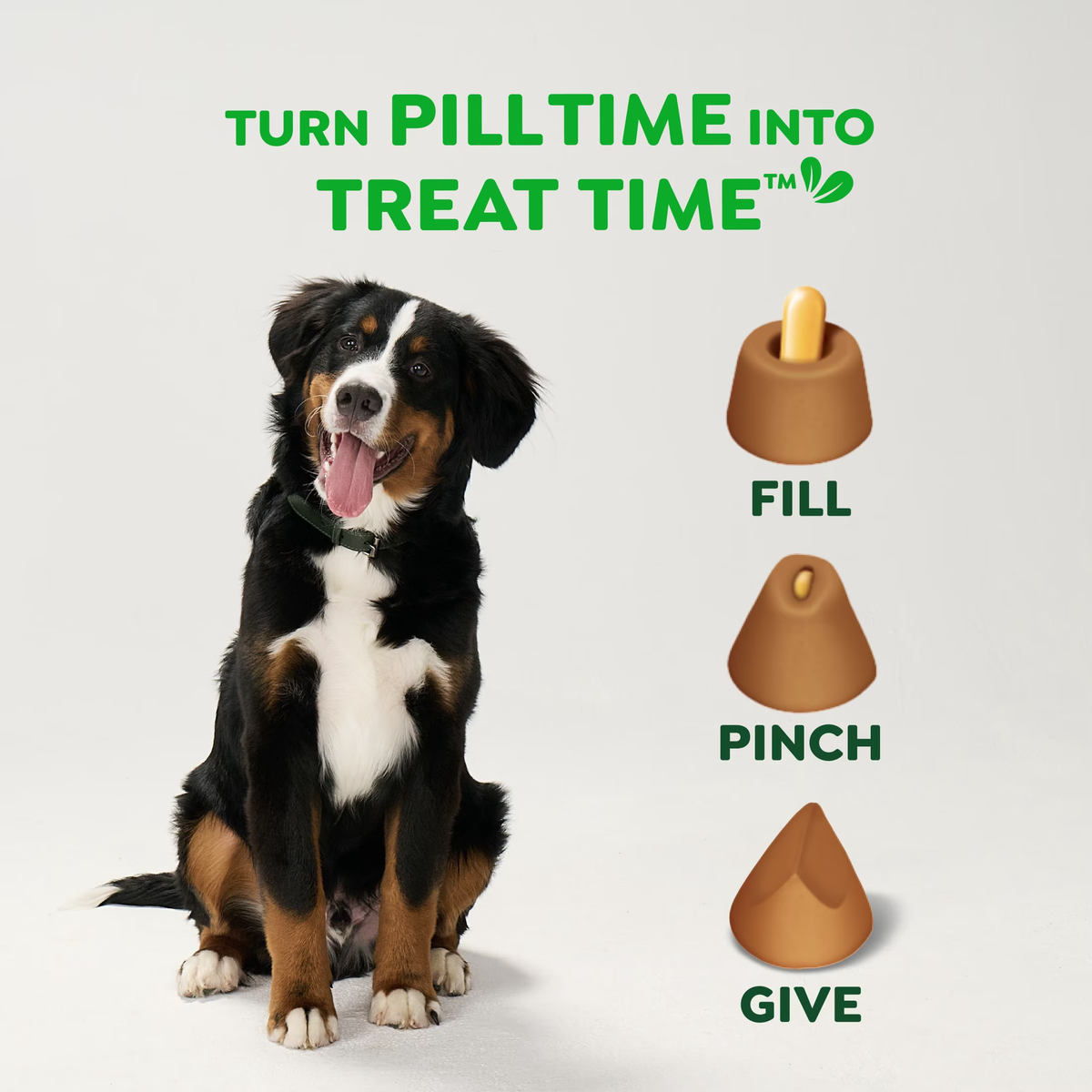 Large Dog Pill Pockets - Peanut Butter Flavor, 15.8 oz