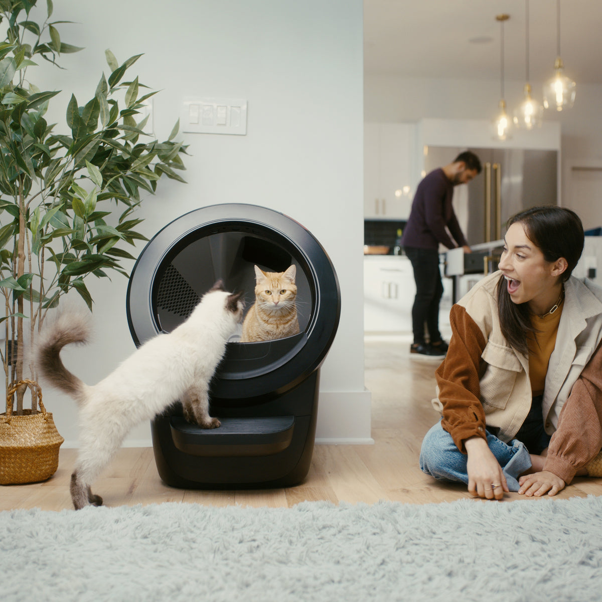Litter-Robot 4 Core Bundle - Self-Cleaning Cat Litter Box with Accessories in Black