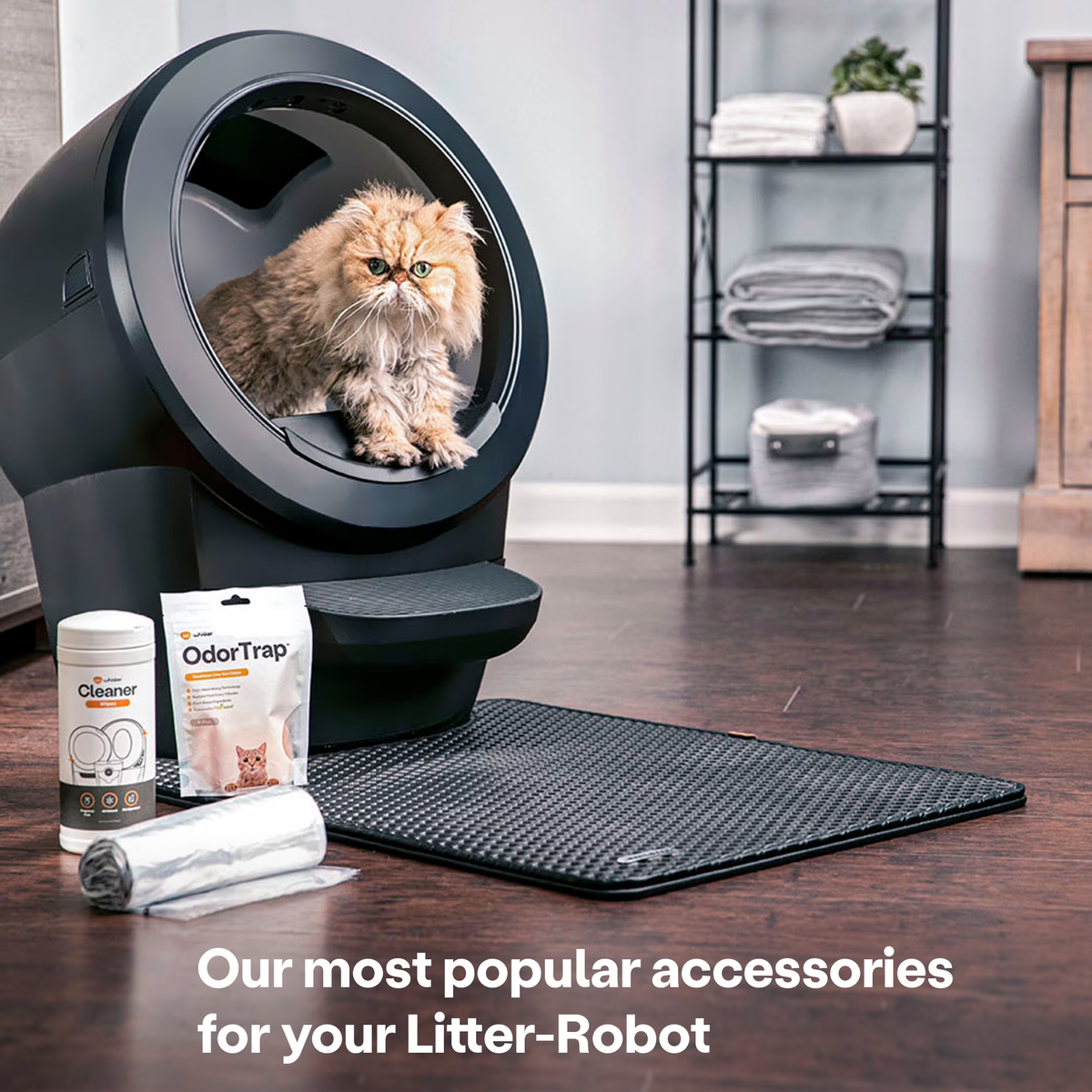 Litter-Robot 4 Core Bundle - Self-Cleaning Cat Litter Box with Accessories in Black