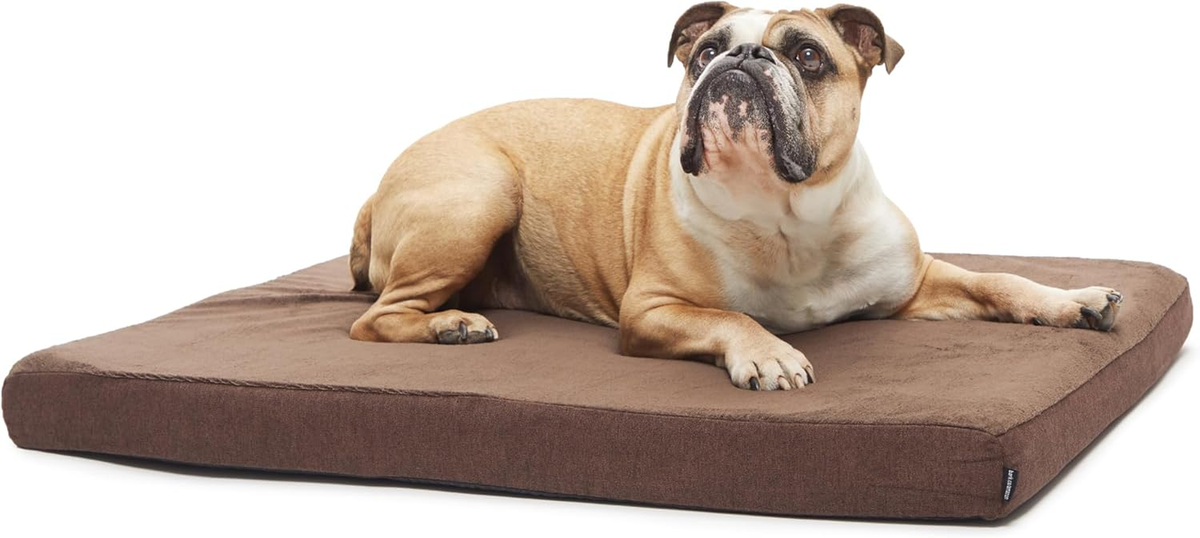 Medium Orthopedic Dog Bed