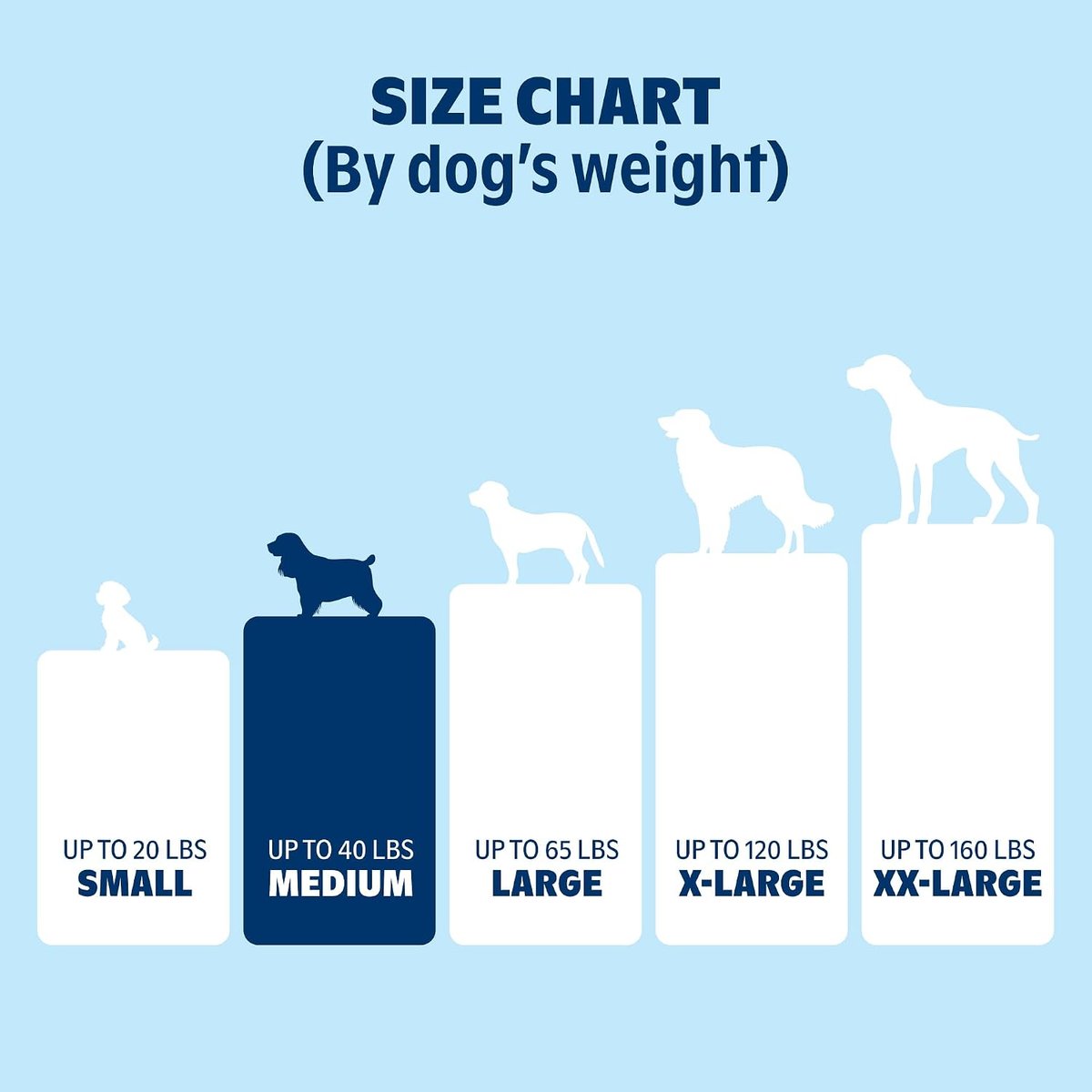 Medium Orthopedic Dog Bed