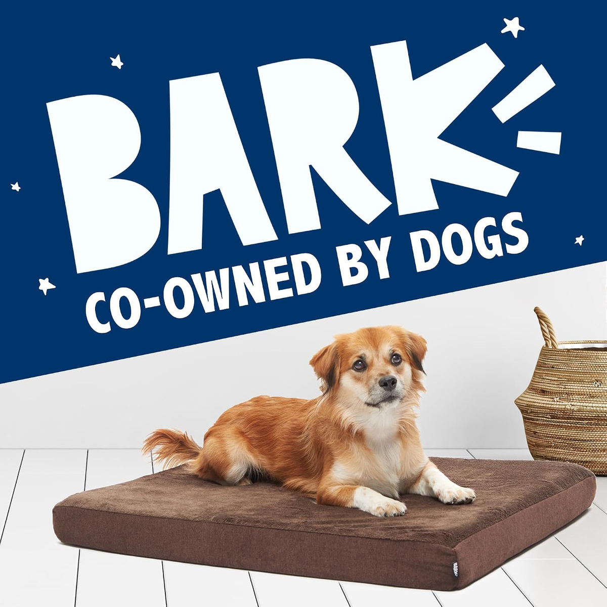 Medium Orthopedic Dog Bed