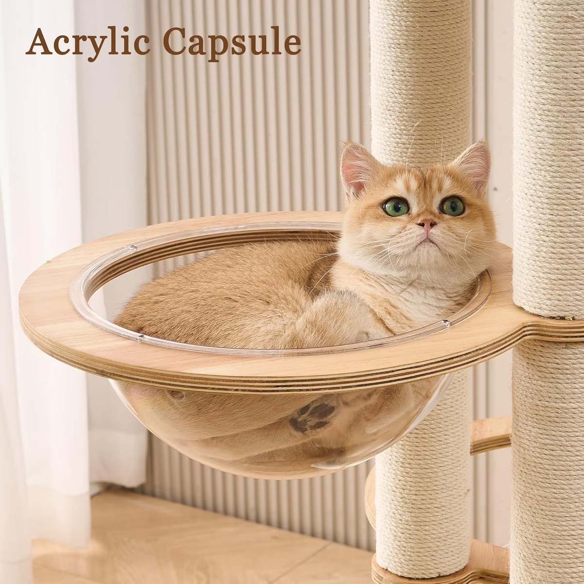 Multifunctional 54-Inch Solid Wood Cat Tree Tower with Scratching Post, Bed, and Interactive Features for Large Indoor Cats