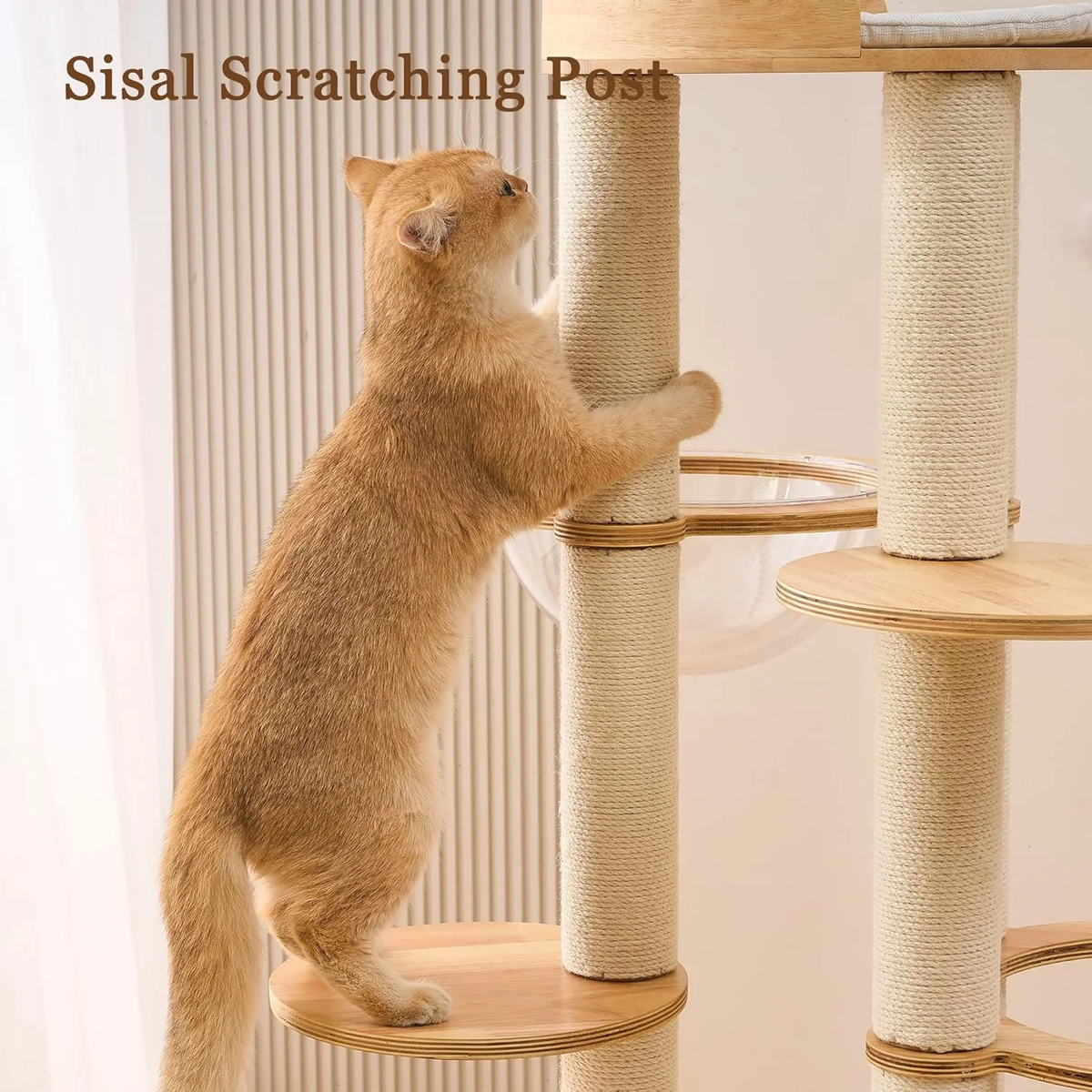 Multifunctional 54-Inch Solid Wood Cat Tree Tower with Scratching Post, Bed, and Interactive Features for Large Indoor Cats
