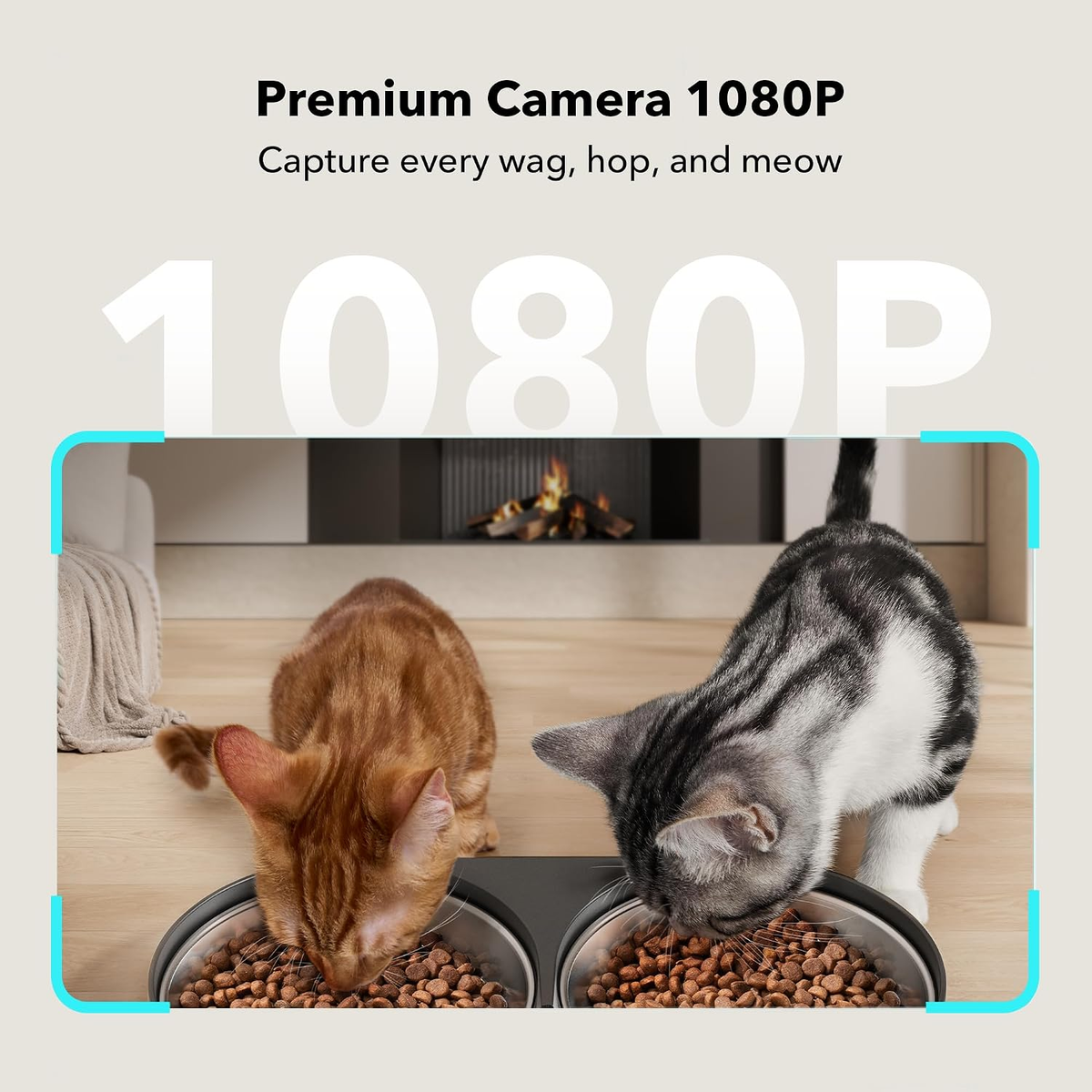 PETLIBRO Smart Automatic Pet Feeder with HD Camera for Cats and Dogs, 5G WiFi Connectivity, 2-Way Audio, Night Vision, Motion and Sound Alerts, Dual Tray, 5L Capacity, Black
