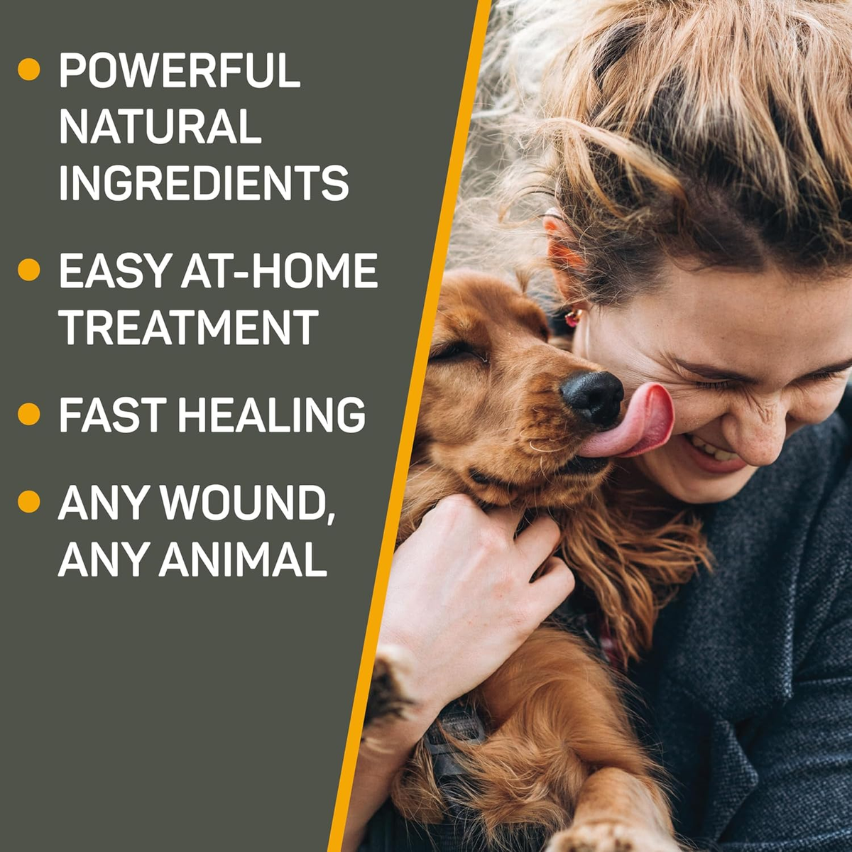 Pet First Aid Spray Gel for Hot Spots and Wound Care, 8 Fl Oz