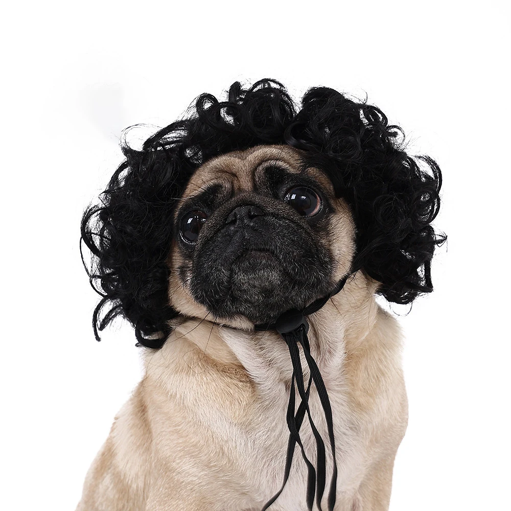 Pet Wigs for Dogs & Cats — Curly & Straight Halloween Costume Hair Accessories