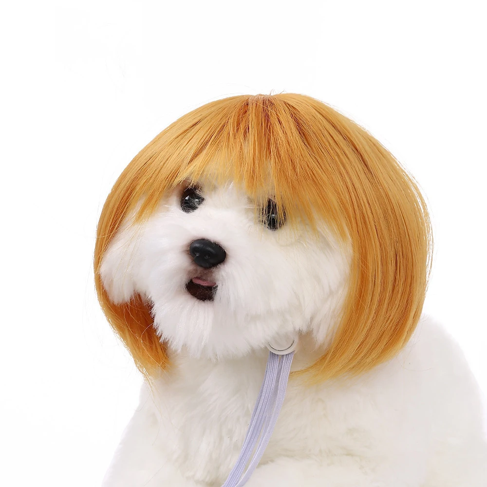 Pet Wigs for Dogs & Cats — Curly & Straight Halloween Costume Hair Accessories