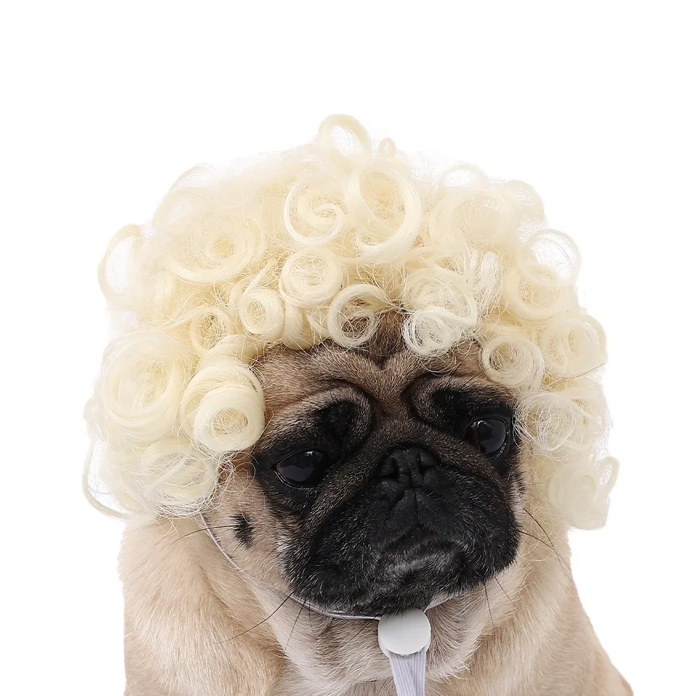 Pet Wigs for Dogs & Cats — Curly & Straight Halloween Costume Hair Accessories