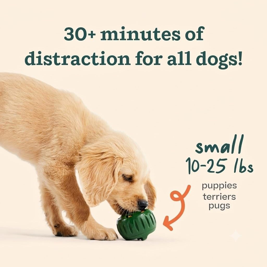 Premium Dog Treat Toy Starter Kit for Small Breeds (10-25 lbs)