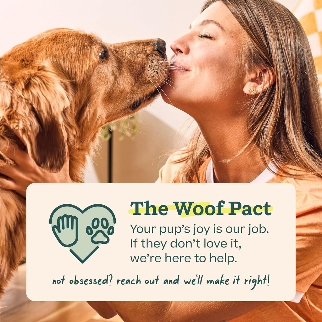 Premium Dog Treat Toy Starter Kit for Small Breeds (10-25 lbs)