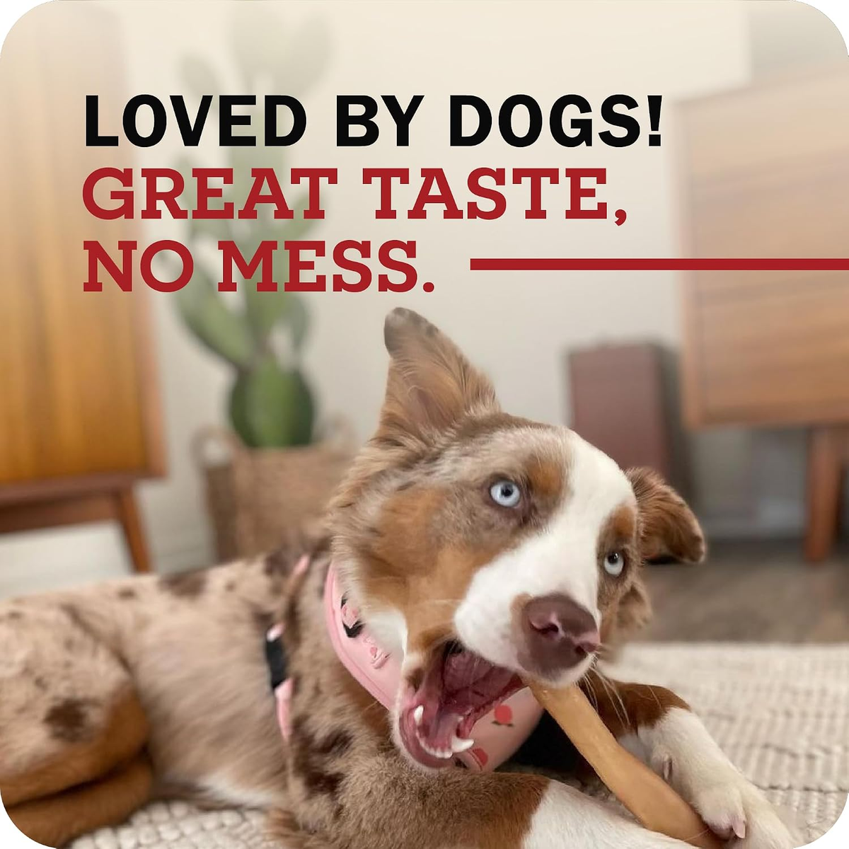 Redbarn Small 100% Natural Beef Collagen Braids Dog Chew, Case of 35