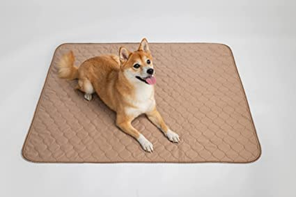 Reusable Waterproof Dog Pee Pad with Grommets, 41"x41", Single Pack