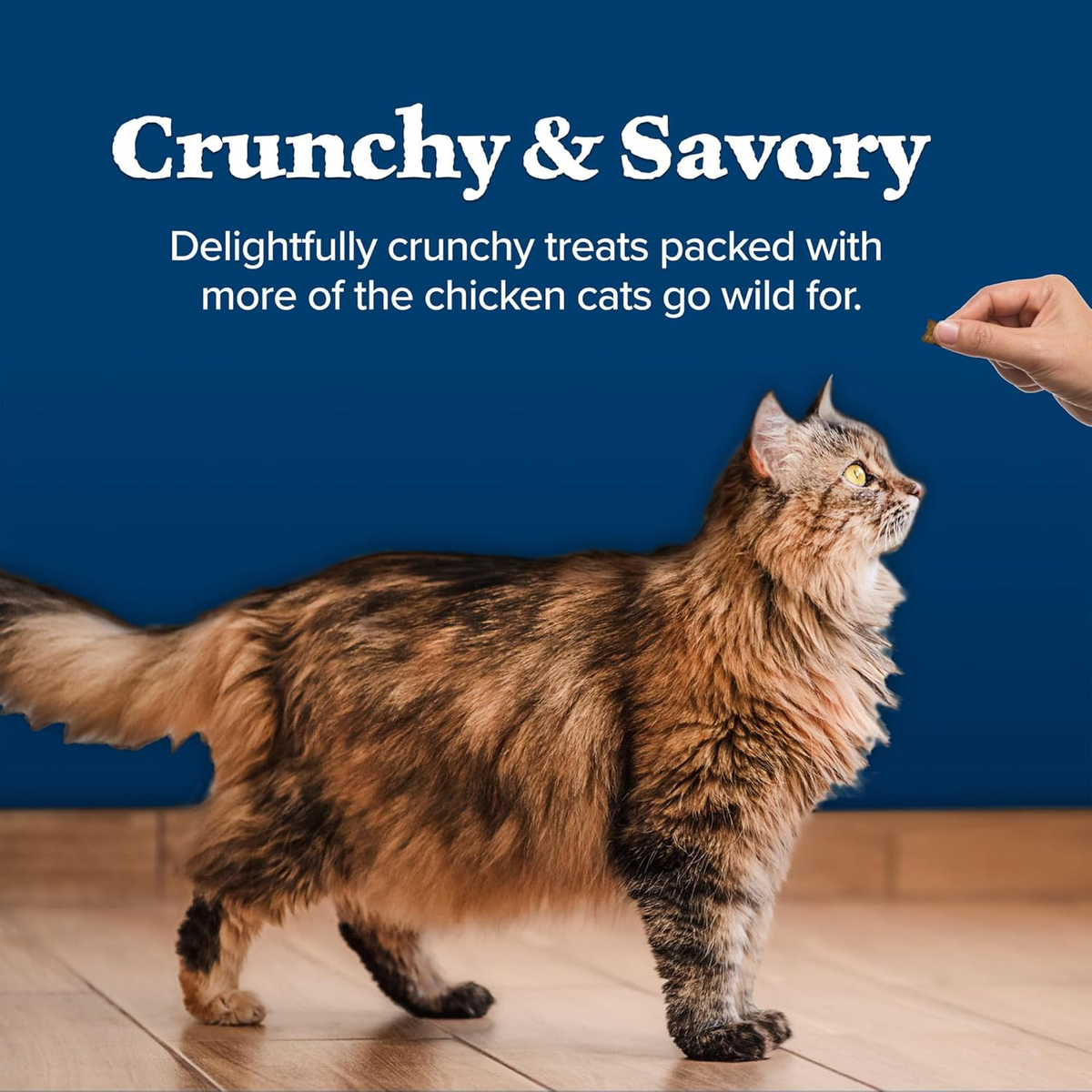 Wilderness Salmon Crunchy Cat Treats, 2 Oz (Pack of 12)