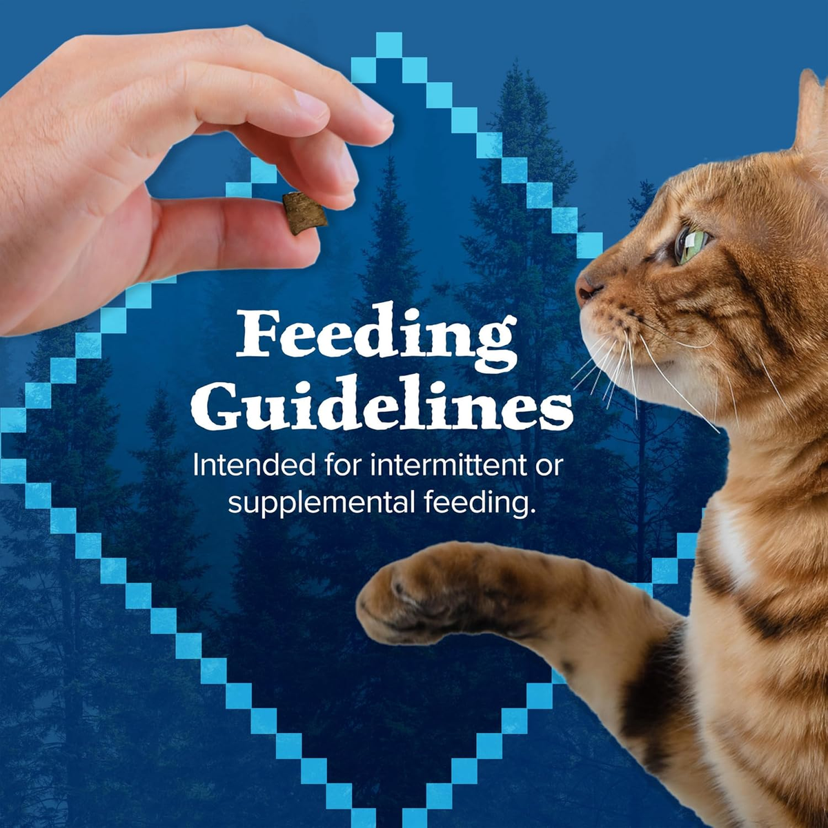 Wilderness Salmon Crunchy Cat Treats, 2 Oz (Pack of 12)