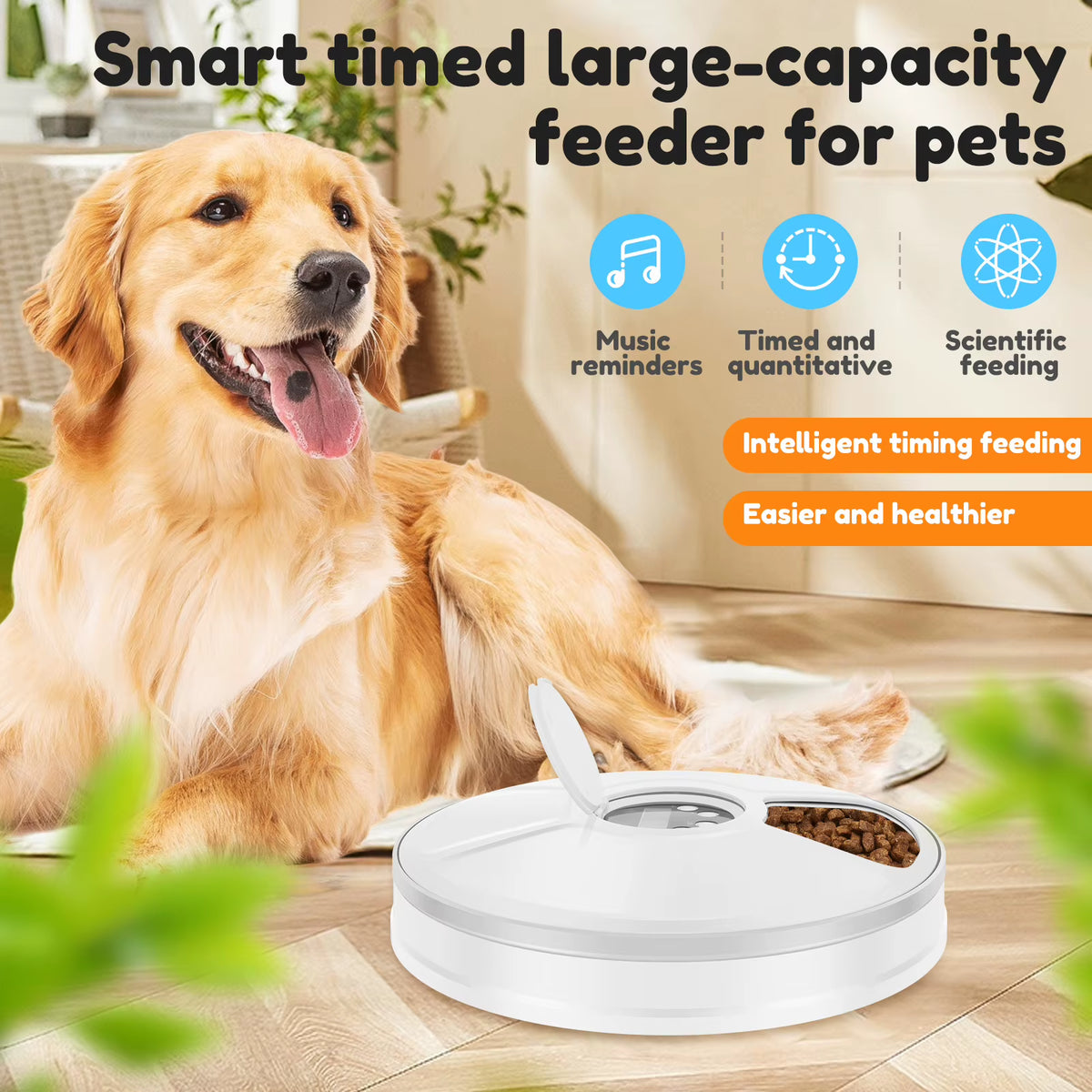 Pet Automatic Timing Feeder Intelligent Pet Feeder with Timer 6 Meals Pet Dry Wet Food Dispenser Automatic Pet Bowl Supplies