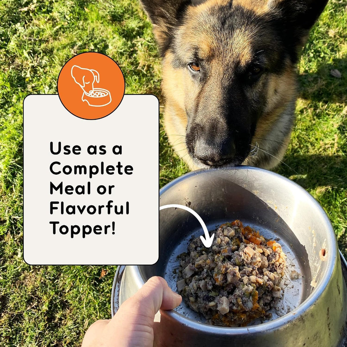 Gourmet Turkey Feast Dog Food Sample Pack, Human-Grade, 3 x 14.6 oz