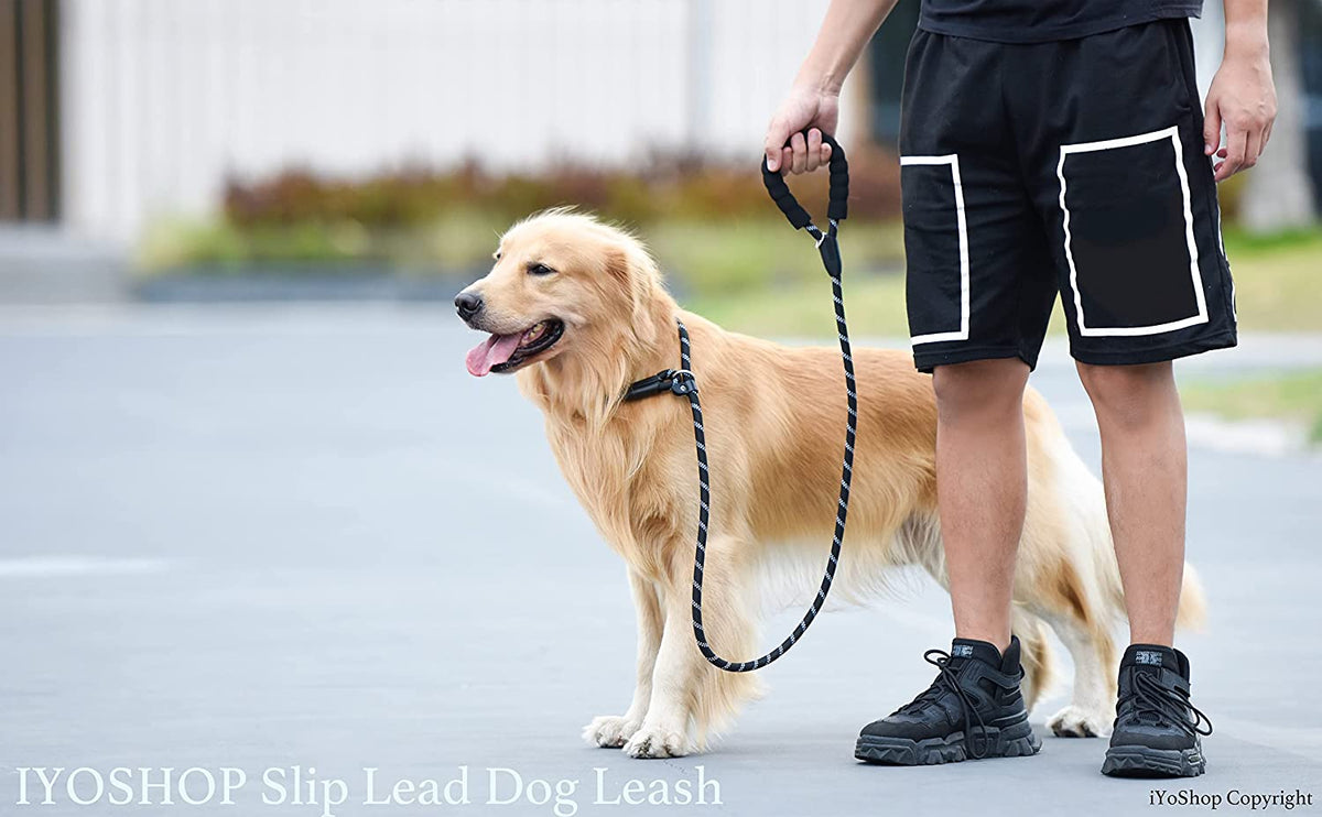 Durable 1/2" x 6 FT Black Slip Lead Dog Leash