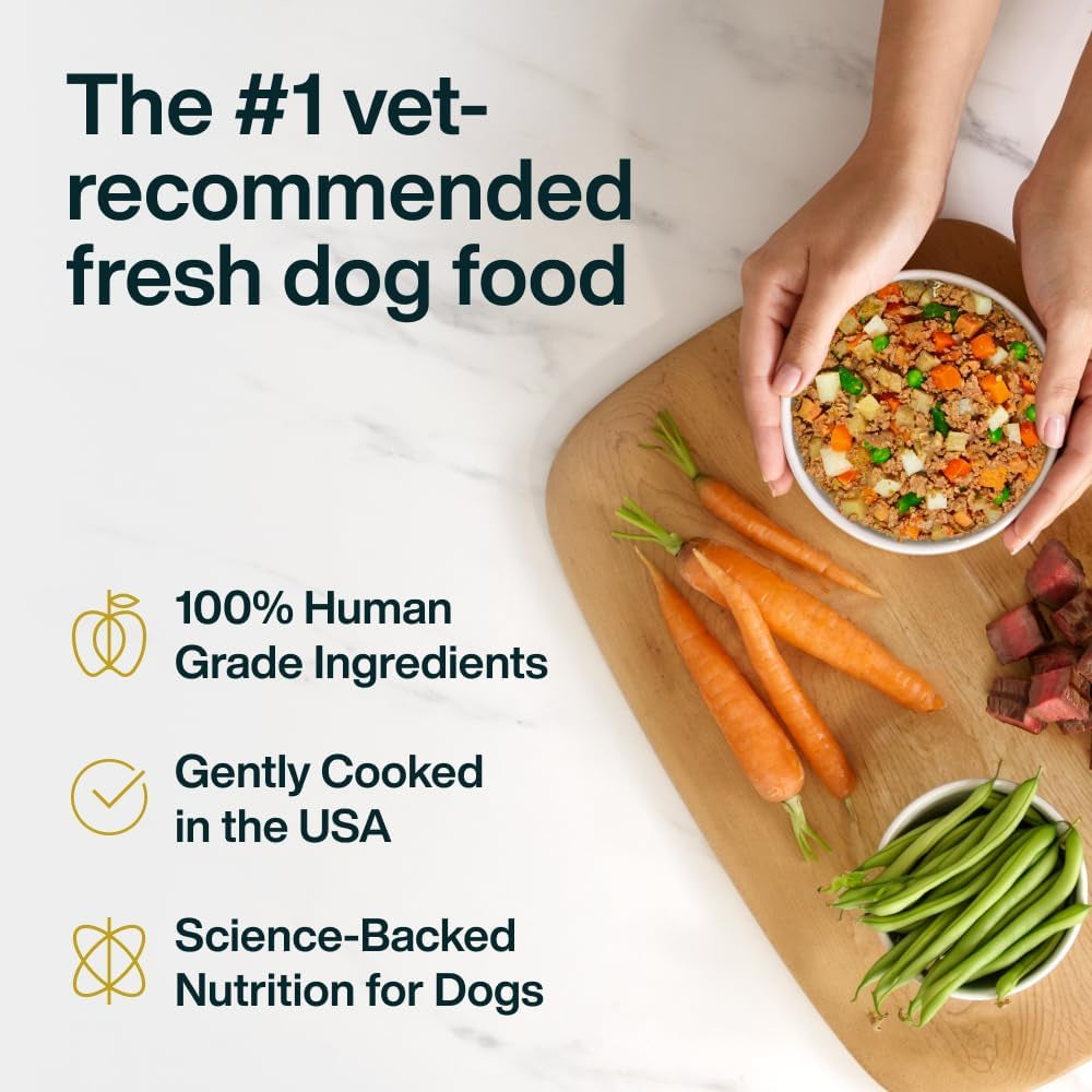Pantry Fresh Human-Grade Wet Dog Food, Complete Meal or Topper, Beef & Potato Recipe - 12.5 Oz (Pack of 12)