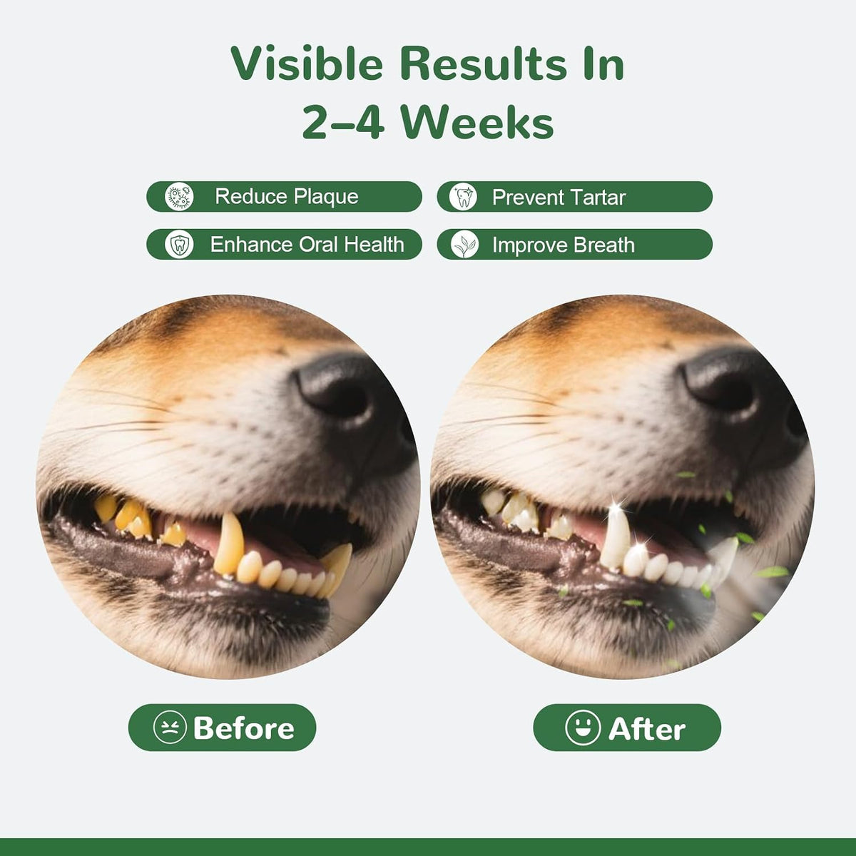 Dog Dental Powder for Teeth Cleaning, Fresh Breath, Tartar and Plaque Removal, Natural Plant Blend with Probiotics, 150g