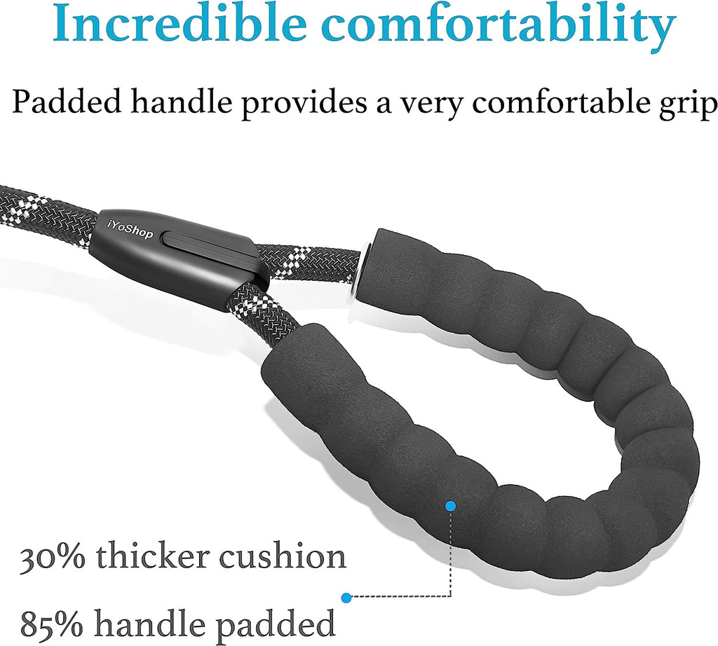 Durable 1/2" x 6 FT Black Slip Lead Dog Leash